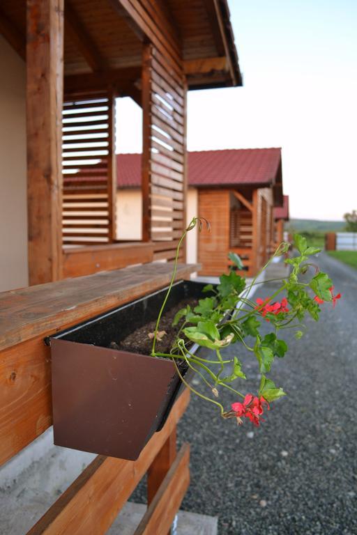 Casute De Vacanta - Complex Ben Villa Ocna Sibiului Exteriör bild